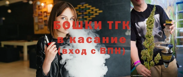 гидра Бронницы