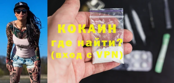 гидра Бронницы