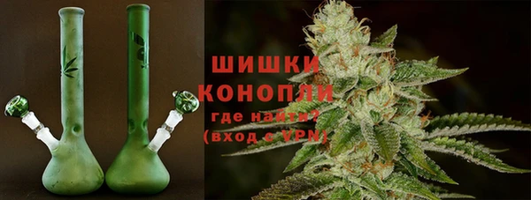 гидра Бронницы