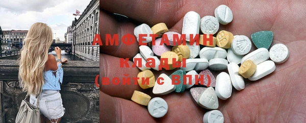 гидра Бронницы