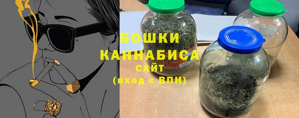 гидра Бронницы